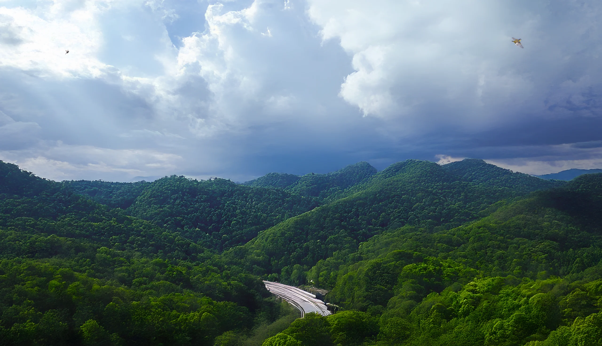 gallery-nature-pure-image-2